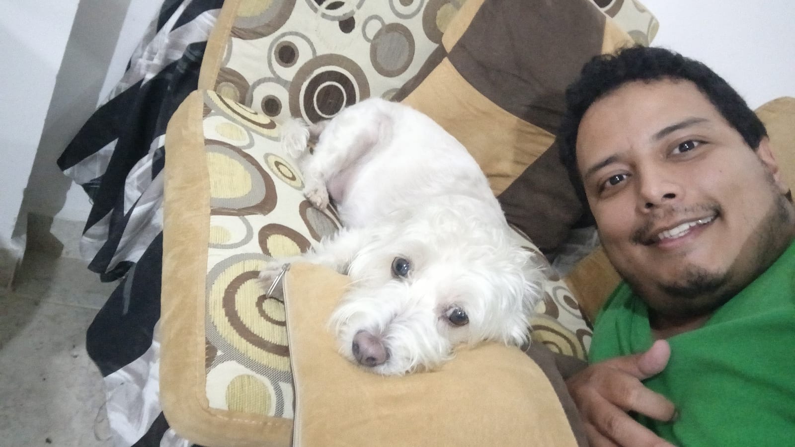foto de la mascota